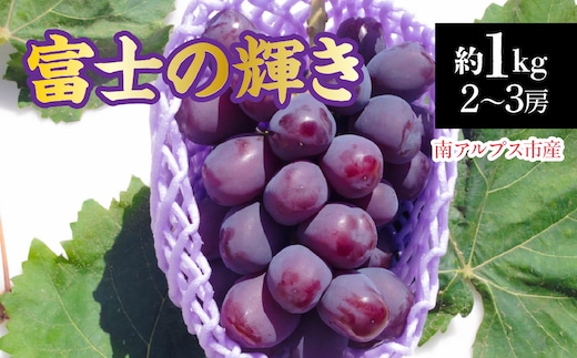 【2026年発送先行予約】南アルプス市産 富士の輝き1.0kg(2～3房) ALPDD022