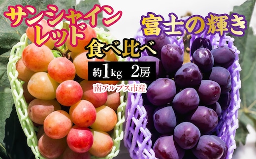 【2026年発送先行予約】南アルプス市産 サンシャインレッド × 富士の輝き 食べ比べセット 約1.0kg（2房） ALPDD023
