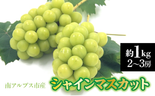 【2026年発送先行予約】南アルプス市産 シャインマスカット 約1.0kg（２～3房） ALPDD026