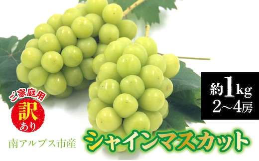 【2026年発送先行予約】南アルプス市産 【訳あり】シャインマスカット 約1.0kg（２～4房） ALPDD028