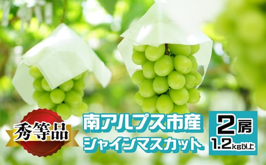 ＜2026年発送先行予約＞南アルプス市産 シャインマスカット 秀等品 1.2kg以上 （2房） ALPEV002