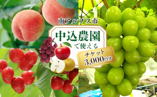 中込農園 クーポン券 3,000円 ALPFT001