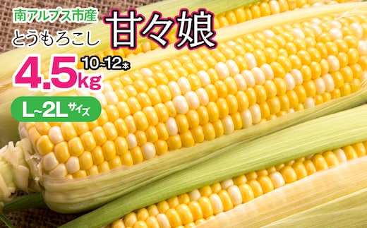 ＜2026月6月上旬~7月中旬 発送＞【みやび農園】山梨県産とうもろこし (甘々娘) ALPGD001