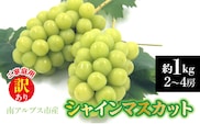 【2026年発送先行予約】南アルプス市産　【訳あり】シャインマスカット　約1.0kg（２～4房） ALPDD028