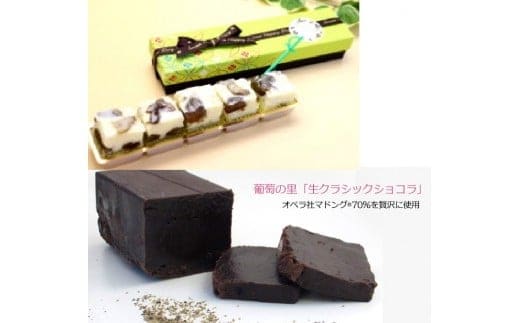 シャインマスカットレーズンショコラ＆生クラシックショコラ※12月中は発送不可 019-001