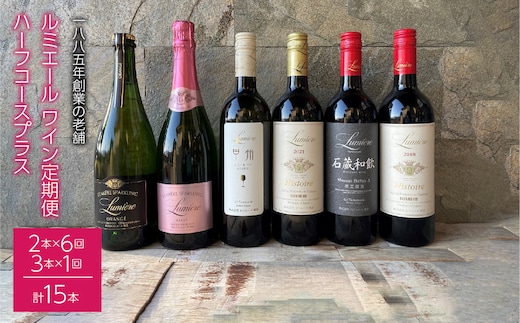 ルミエール ～ワイン定期便ハーフコースプラス～ 063-007