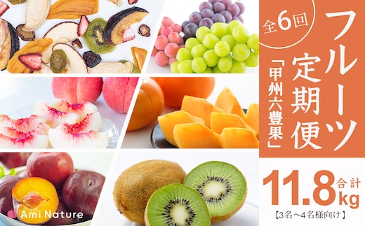 フルーツ定期便≪甲州六豊果≫全6回【3名～4名様向け】 065-007_v2