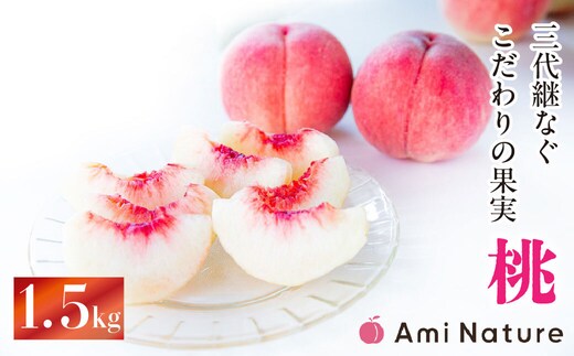 【2026年発送★先行予約】やまなし旬の果実 笛吹の朝採り桃1.5kg 065-017-26y