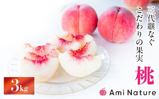 【2026年発送★先行予約】やまなし旬の果実 笛吹の朝採り桃 3.0kg 065-019-26y