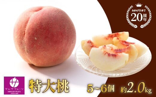 【2026年発送★先行予約】特大桃 5～6個入り 約2.0kg 山梨一宮産の桃 朝採り 産地直送 088-001-26y