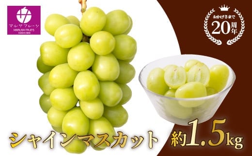 【2026年発送★先行予約】シャインマスカット 約1.5kg 大房 2房 088-012-26y