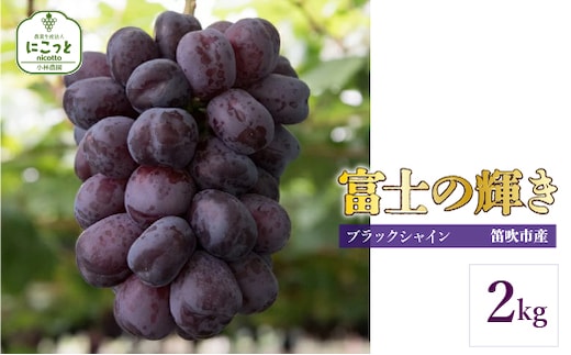 【2026年発送★先行予約】富士の輝き2キロ 097-017-26y