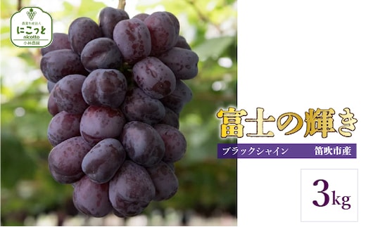 【2026年発送★先行予約】富士の輝き3キロ 097-018-26y