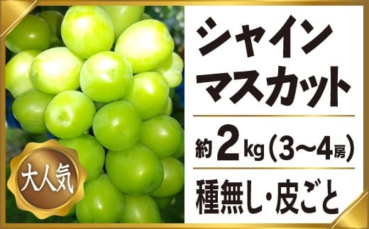 カテゴリー別ランキングページ|dショッピングふるさと納税百選