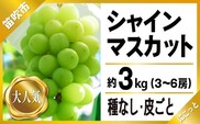 ＜25年発送先行予約＞シャインマスカット 3～6房 約3.0kg ※沖縄県・離島は発送不可 097-014