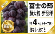 【2026年発送★先行予約】たっぷり4キロ　富士の輝き（4-7房）097-015-26y