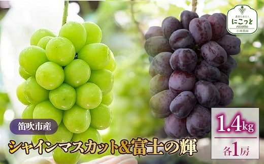【2026年発送★先行予約】シャインマスカット・富士の輝 1房ずつ（合計1.4kg） 097-023-26y