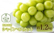 ＜25年発送先行予約＞笛吹市産 シャインマスカッ ト 約1.2kg 　097-020