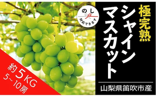 【2026年発送★先行予約】☆絶品☆ シャインマスカット 5-10房約5.0kg 090-006-26y