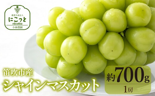 【2026年発送★先行予約】シャインマスカット700g（１房）097-022-26y