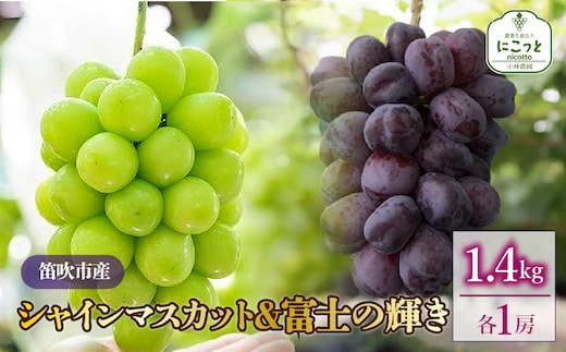 【2026年発送★先行予約】シャインマスカット・富士の輝 1房ずつ（合計1.4kg） 097-023-26y