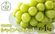 ＜25年発送先行予約＞シャインマスカット4kg 097-021