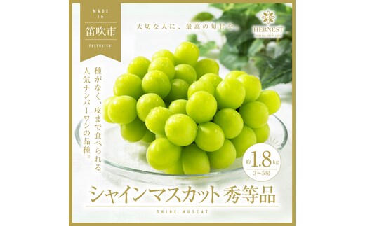 【2026年発送★先行予約】山梨県笛吹市の旬の採れたてシャインマスカット 秀等品 約1.8kg(3房～5房) 105-007-26y