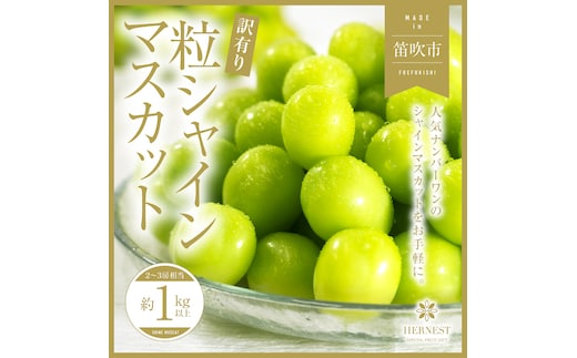 【2026年発送★先行予約】山梨県笛吹市産 シャインマスカット訳有粒 1kg以上 105-018-26y