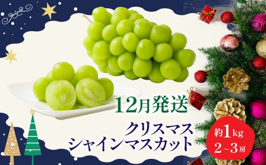 【2026年発送★先行予約】冬季限定！！ 山梨県笛吹市産 クリスマスシャインマスカット 約1.0kg 2～3房 105-020-26y