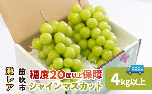 【2026年発送★先行予約】超レア大粒シャインマスカット4.0㎏以上（6房から10房）106-005