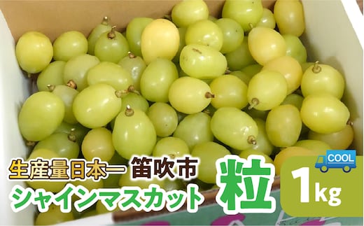 【2026年発送★先行予約】笛吹市産 シャインマスカット粒 106-020