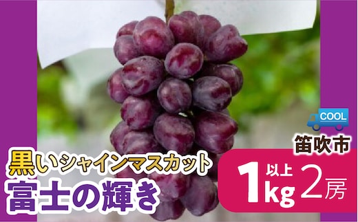 【2026年発送★先行予約】＜黒いシャインマスカット＞と呼ばれる蜂蜜のように甘い「富士の輝き」2房約1㎏以上 106-026-26y