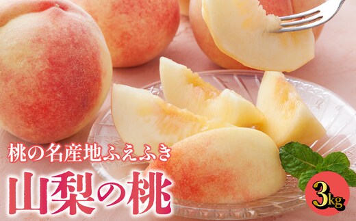 【2026年発送★先行予約】【鮮度バツグン】桃名産地 山梨の桃 約3kg【農家直送】 109-016-26y