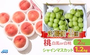 ＜25年発送先行予約＞【2回定期便】桃・シャインマスカット 106-022