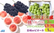 ＜25年発送先行予約＞【3回定期便】桃・シャインマスカット・巨峰orピオーネ　106-023