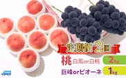 ＜25年発送先行予約＞【2回定期便】桃・巨峰orピオーネ 106-024