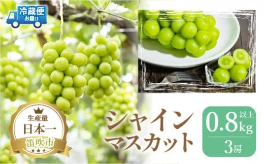 【2026年発送★先行予約】厳選プレミアムシャインマスカット800g以上3房 111-017-26y