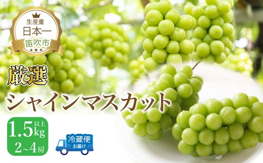 【2026年発送★先行予約】笛吹市産 厳選シャインマスカット1.5kg以上 2～4房 111-014-26y