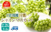 【2026年発送★先行予約】ご家庭用シャインマスカット2.2ｋｇ以上（3～6房） 111-021-26y