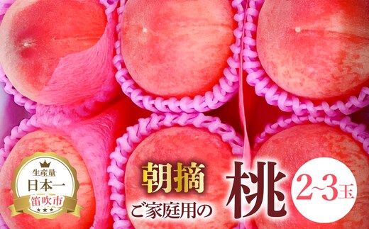 【2026年発送★先行予約】ご家庭用の桃2～3玉 111-022-26y