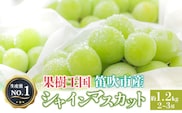 ＜26年発送＞人気 シャインマスカット 約1.2kg 2～3房　※沖縄県及び離島への配送はできませんので予めご了承ください。　※常温配送　126-002-26y