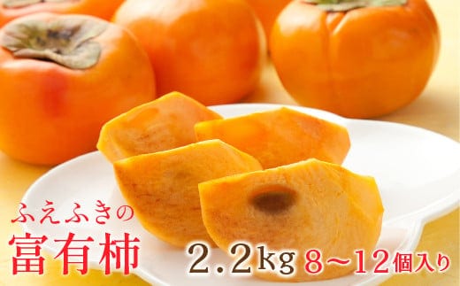 ＜26年発送＞山梨県笛吹市石和町産 富有柿 2.2kg 8～12個入り 126-012-26y 
