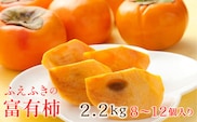 ＜26年発送＞山梨県笛吹市石和町産　富有柿 2.2kg 8～12個入り 126-012-26y 
