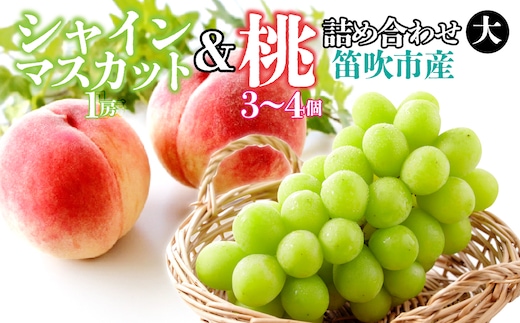 ＜26年発送＞シャインマスカット（1房）と桃（3～4個）の詰め合わせ（大） 126-022-26y