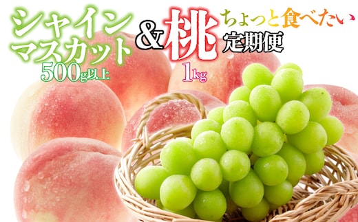 【ちょっと食べたい定期便】桃 約1kg(3～4玉)×シャインマスカット500g以上 126-024
