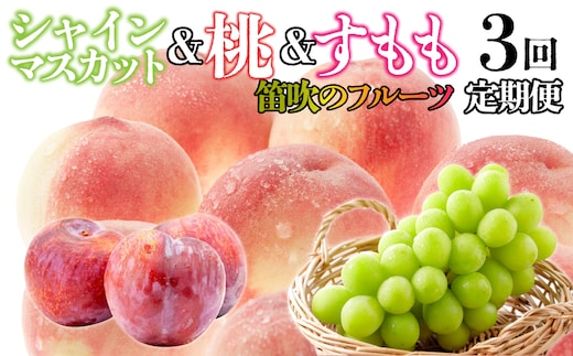 笛吹のフルーツ【3回定期便】 桃＆すもも＆シャインマスカット 126-027