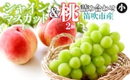 ＜26年発送＞シャインマスカット（1房）と桃（2個）の詰め合わせ（小） 126-023-26y