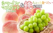 【ちょっと食べたい定期便】桃 約1kg(3～4玉)×シャインマスカット500g以上 126-024