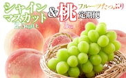【フルーツたっぷり定期便】桃 約3kg(7～12玉)×シャインマスカット2.5g以上(3～6房) 126-026