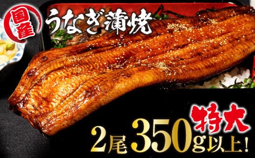山梨県産富士山脈の地下水うなぎの蒲焼 特大2尾350g以上 138-003